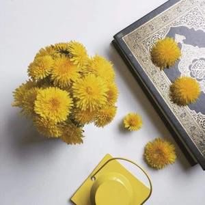 Meet your Posher, Hamza